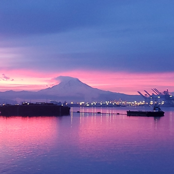 Meet your Posher, Malia - Picture 8 of 10